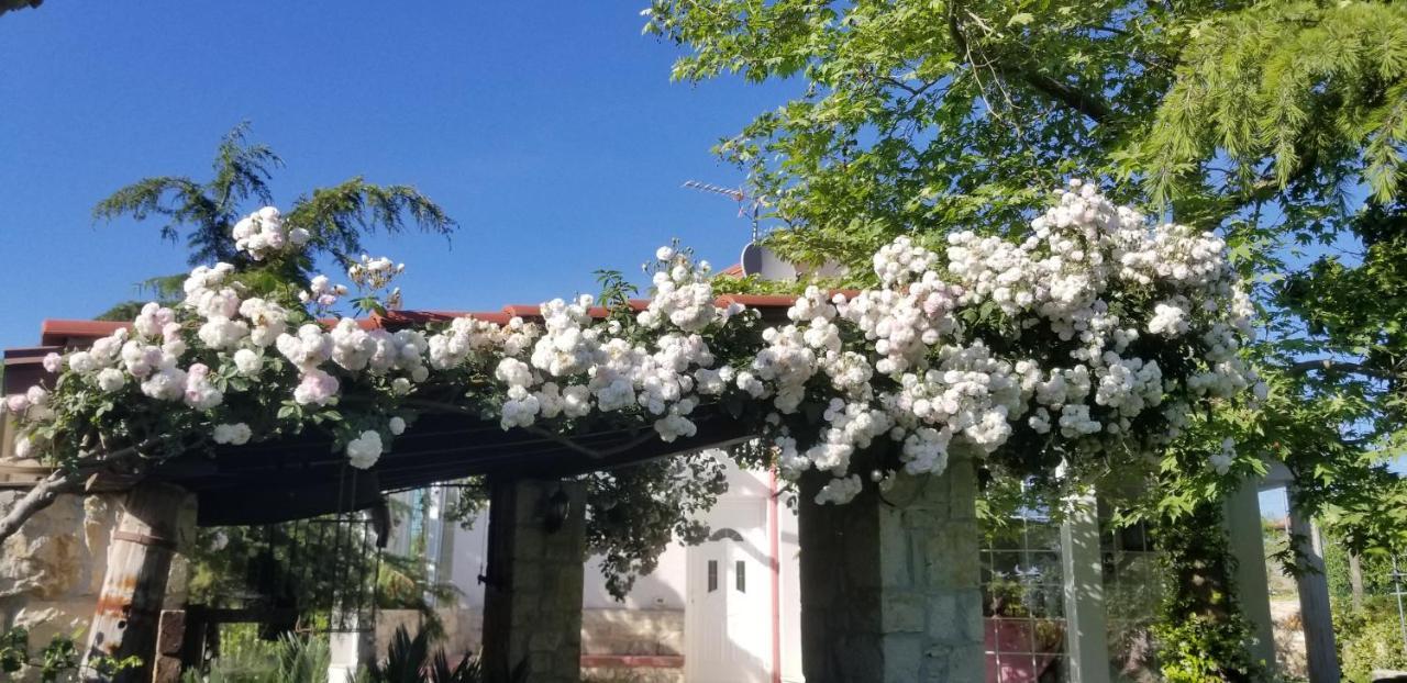 Country House Bubullime Albania Lushnjë المظهر الخارجي الصورة