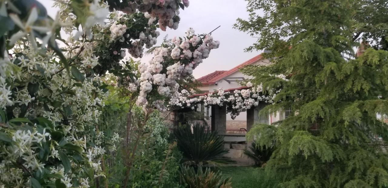Country House Bubullime Albania Lushnjë المظهر الخارجي الصورة