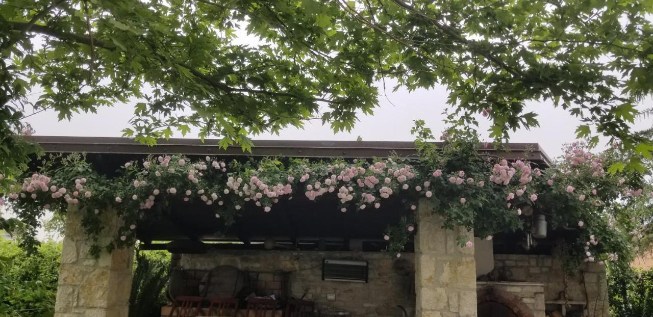 Country House Bubullime Albania Lushnjë المظهر الخارجي الصورة