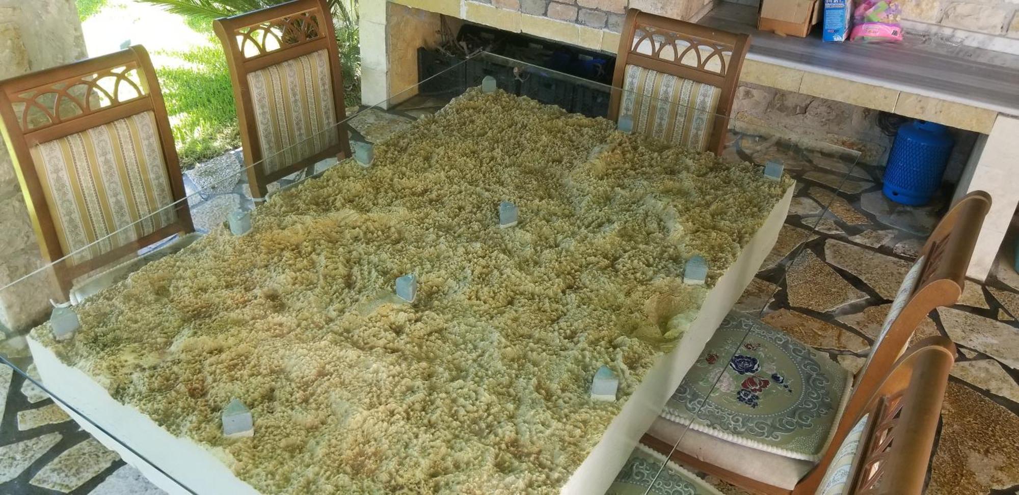 Country House Bubullime Albania Lushnjë المظهر الخارجي الصورة